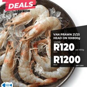 VAN PRAWN H/ON 21/25 10X800G