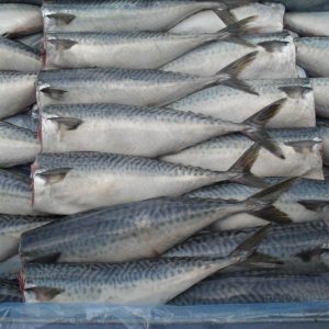 BABY HAKE 0 H&G 80-200G NO.9 10KG