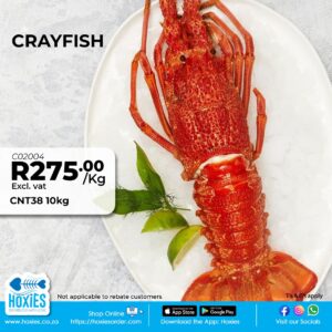 CRAYFISH CNT38 10KG