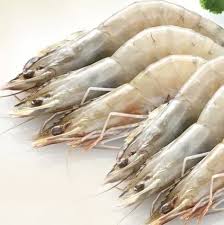 PRAWN VAN H/ON 20/30 6X2KG