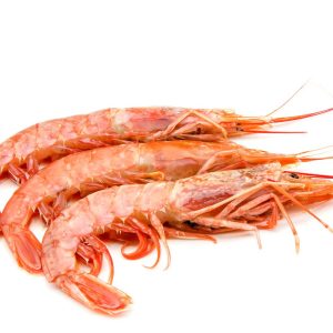 PRAWN L1 S/FRZ 10/20PC 6X2KG CABO