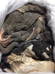 BEEF LARGE TRIPE( 10KG )