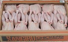 FRZ WHL BIRDS1.2/1.35 SANGIRO RDW