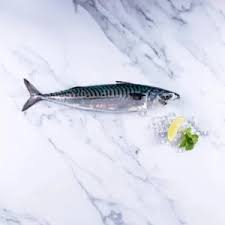 MACKEREL WHOLE LARGE  30KG