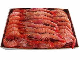 PRAWN ARG L1 S/F 6X2KG MOSCUZZA