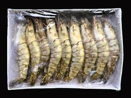 UNIT CODE PRAWN BLACK TIGER 16/20 2KG