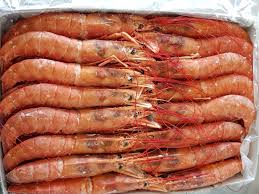 PRAWN PINK ARG L1 10/20 10X800G 8KG
