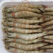 PRAWN VAN  H/ON 41/50 10X800G