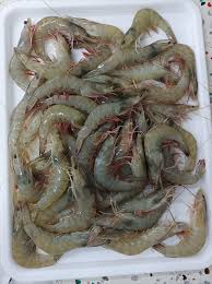 PRAWNS VANNAMEI  HOSO 40/50 (3X5KG)