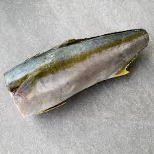 YELLOWTAIL W/RND 2/3KG RDW BAGGED