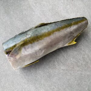 YELLOWTAIL WHL/ROUND RDW 2-3kg BOXED